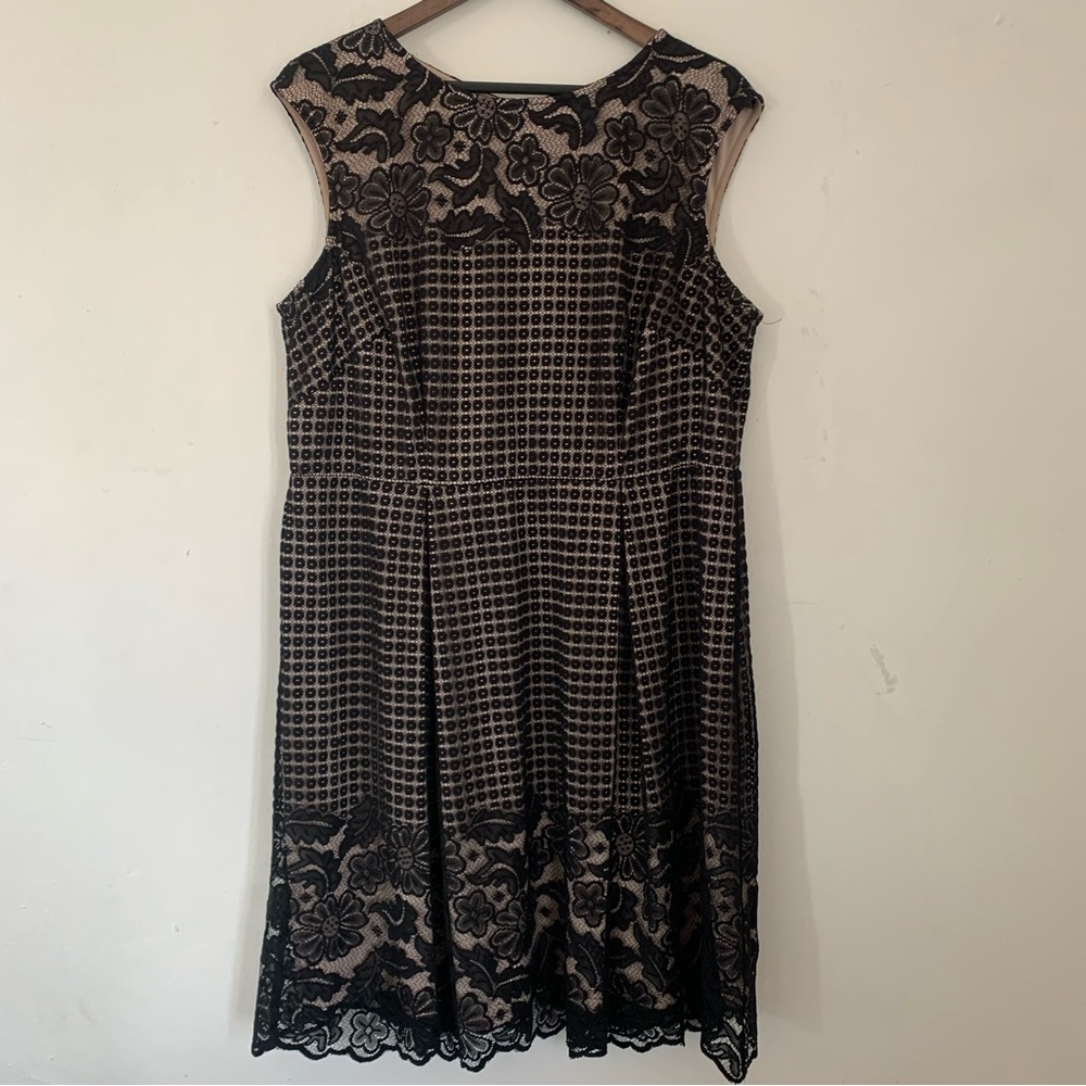 Black Lacy Dress - Picture 2 of 4